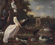 Melchior de Hondecoeter A Pelican and other exotic birds in a park oil painting artist